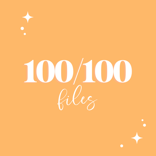 100/100 Files