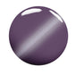 Pom Pom Plum