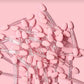 Eyeshadow Applicator
