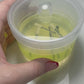 Sanitising Container